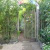 dag van de Stilte Meditatie / verkoop biologische planten