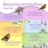 Basiscursus Permacultuur